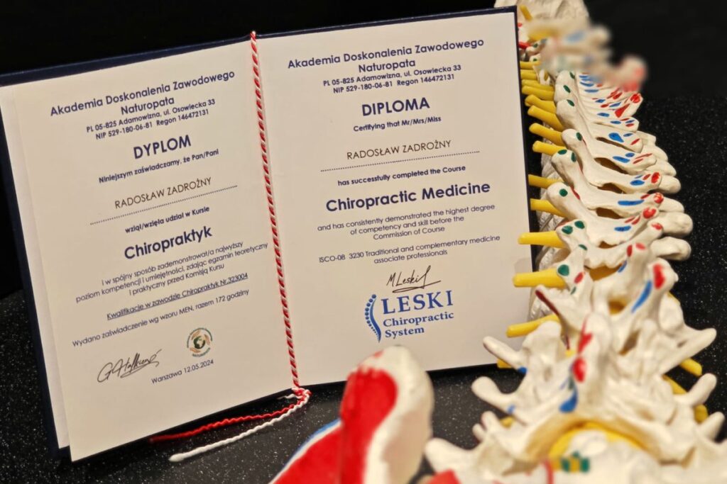 Dyplom Chiropraktyk Radosława Zadrożnego, Leski Chiropractic System, obok model kręgosłupa